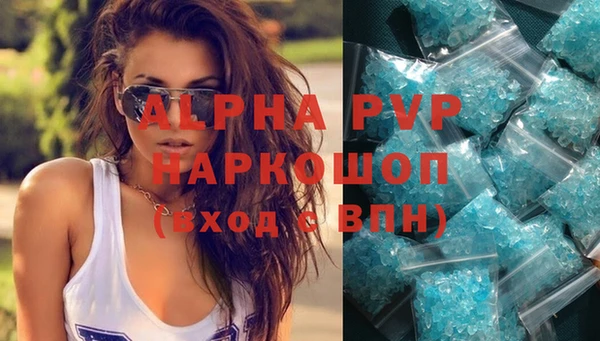 гидра Верхний Тагил