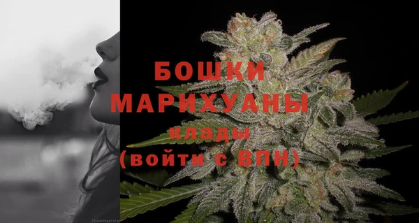 шишки Володарск