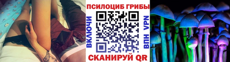 Галлюциногенные грибы Psilocybe  Любань 